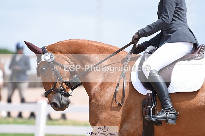 230702A-133430-10365 - Cls 1, 3+4 Intro A, Prelim 12+18