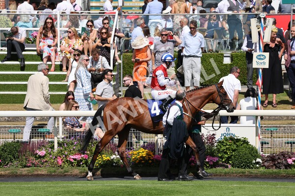 yr09072022r4-5 - Race 4 3.30pm John Smith's Nursery Stakes