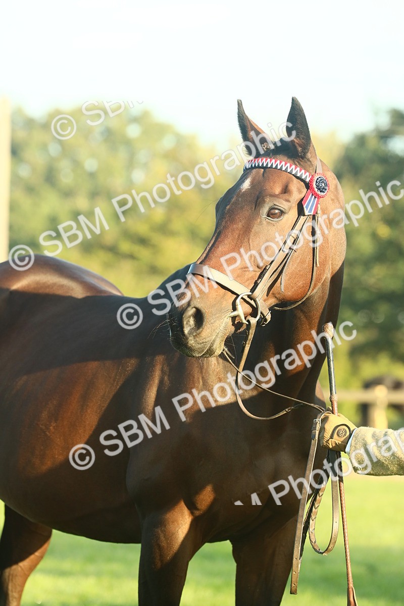 SBM_56649 - S36 - Starters Best Turnout