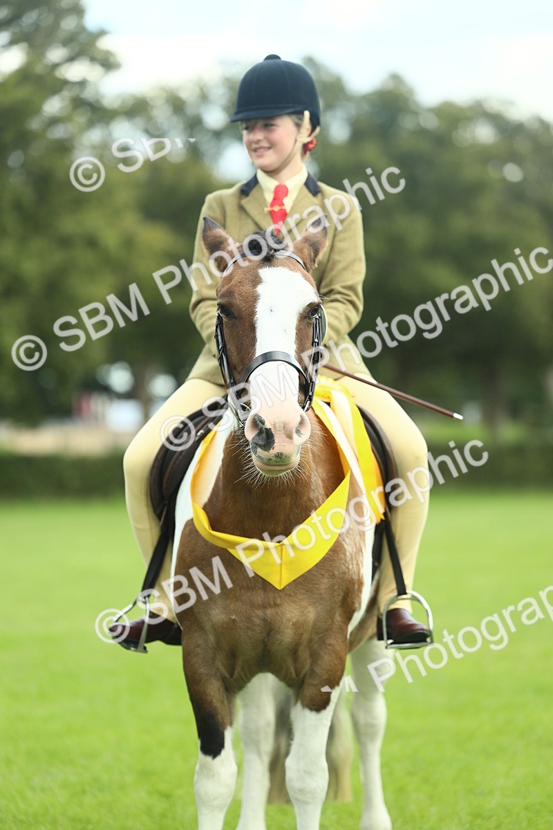 SBM_42181 - S29 - Novice & Newcomers Working Hunter Pony