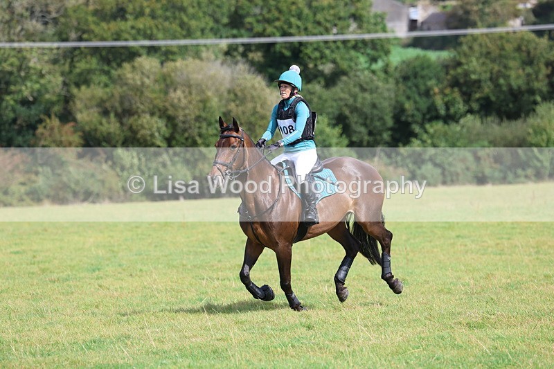 3E7A6519 - Class 1: Trebudannon Open: Pheasant Feeder