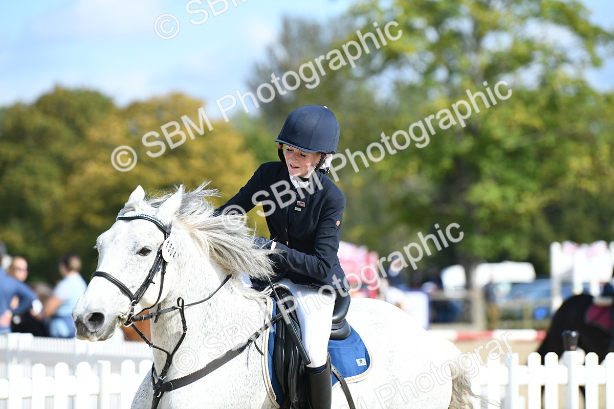 SBM_61777 - j25 - Junior Horse 80cm Championship