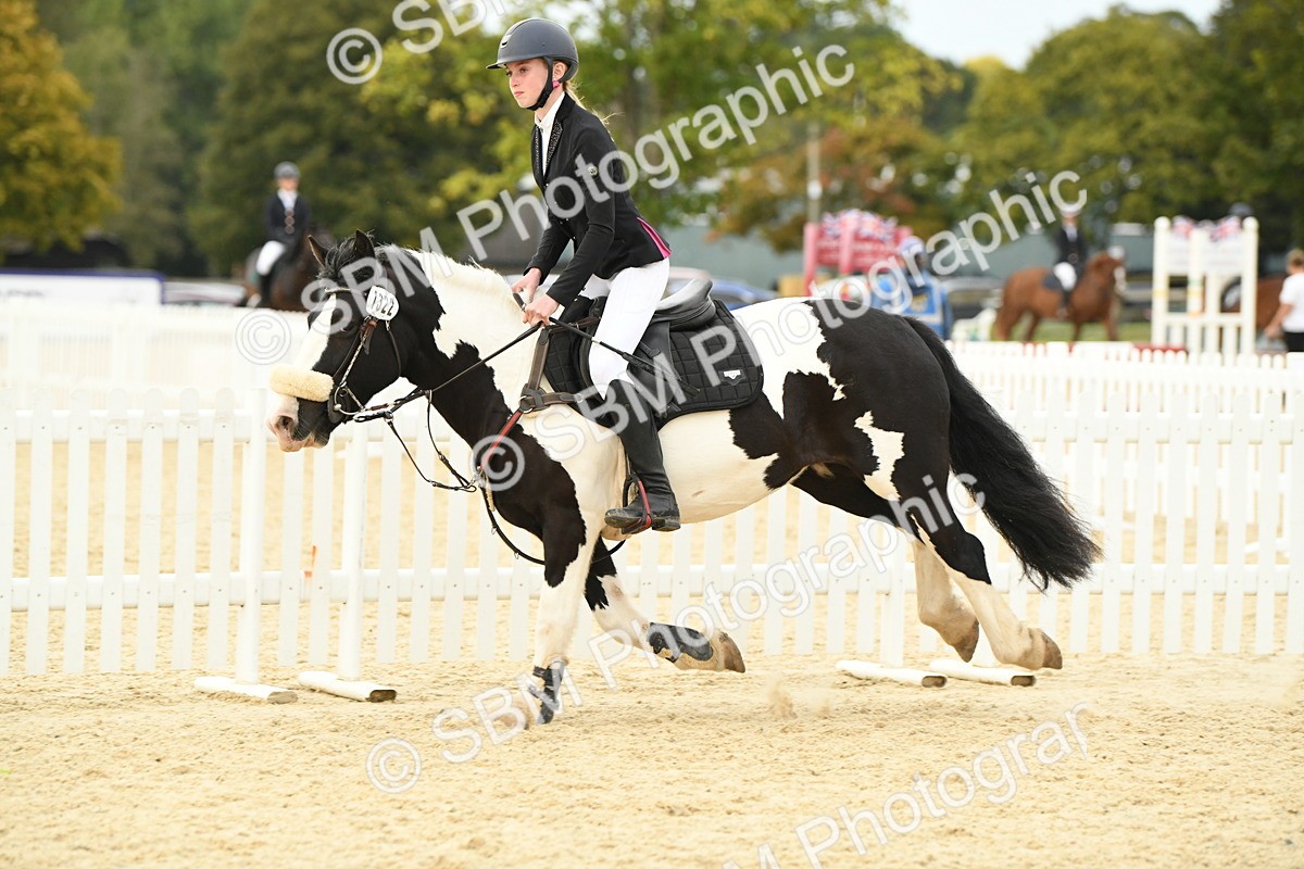 SBM_75899 - Supreme Championship