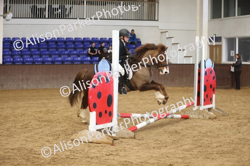 20260321-0493 - Class 2 - 40cm