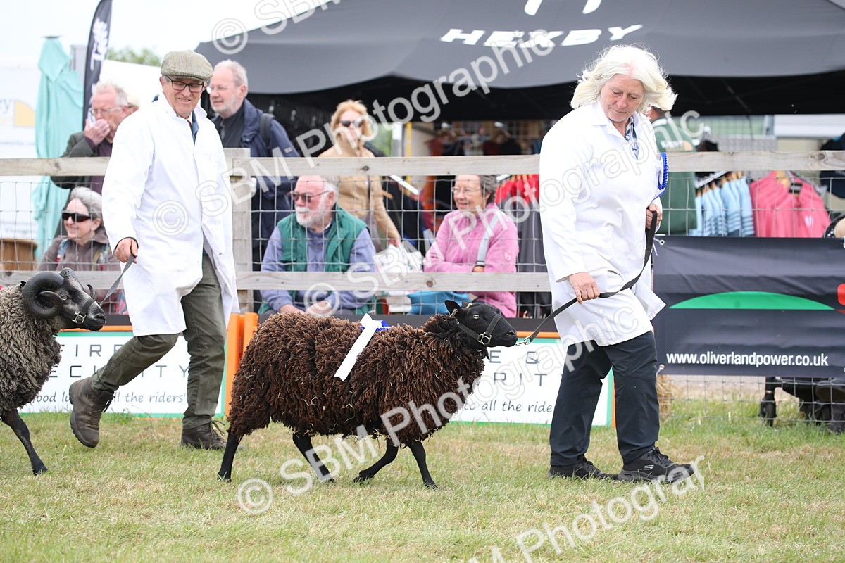 SBM_07807 - Grand Parade