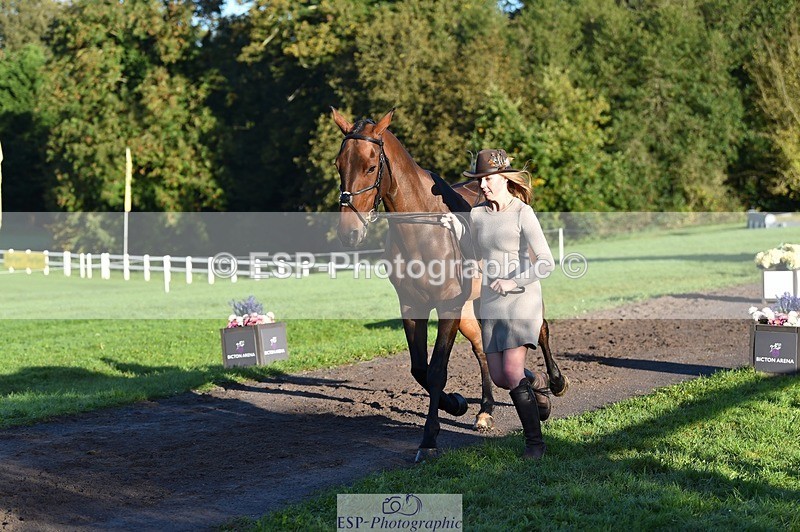 231022-092412-21760 - 617-MR.MISCHIEVOUS-Megan.Brown-TrotUp+SJ