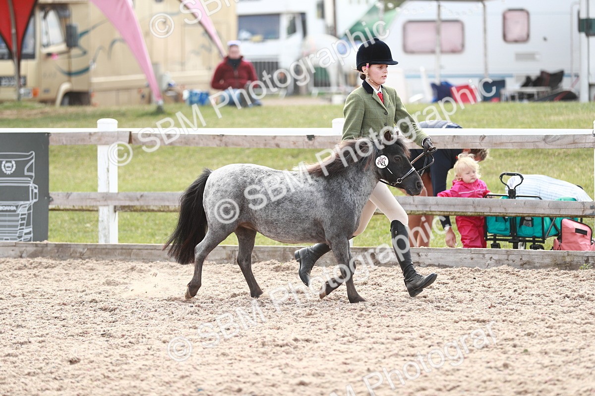 SBM_13842 - Class 209 IH Veteran Pony