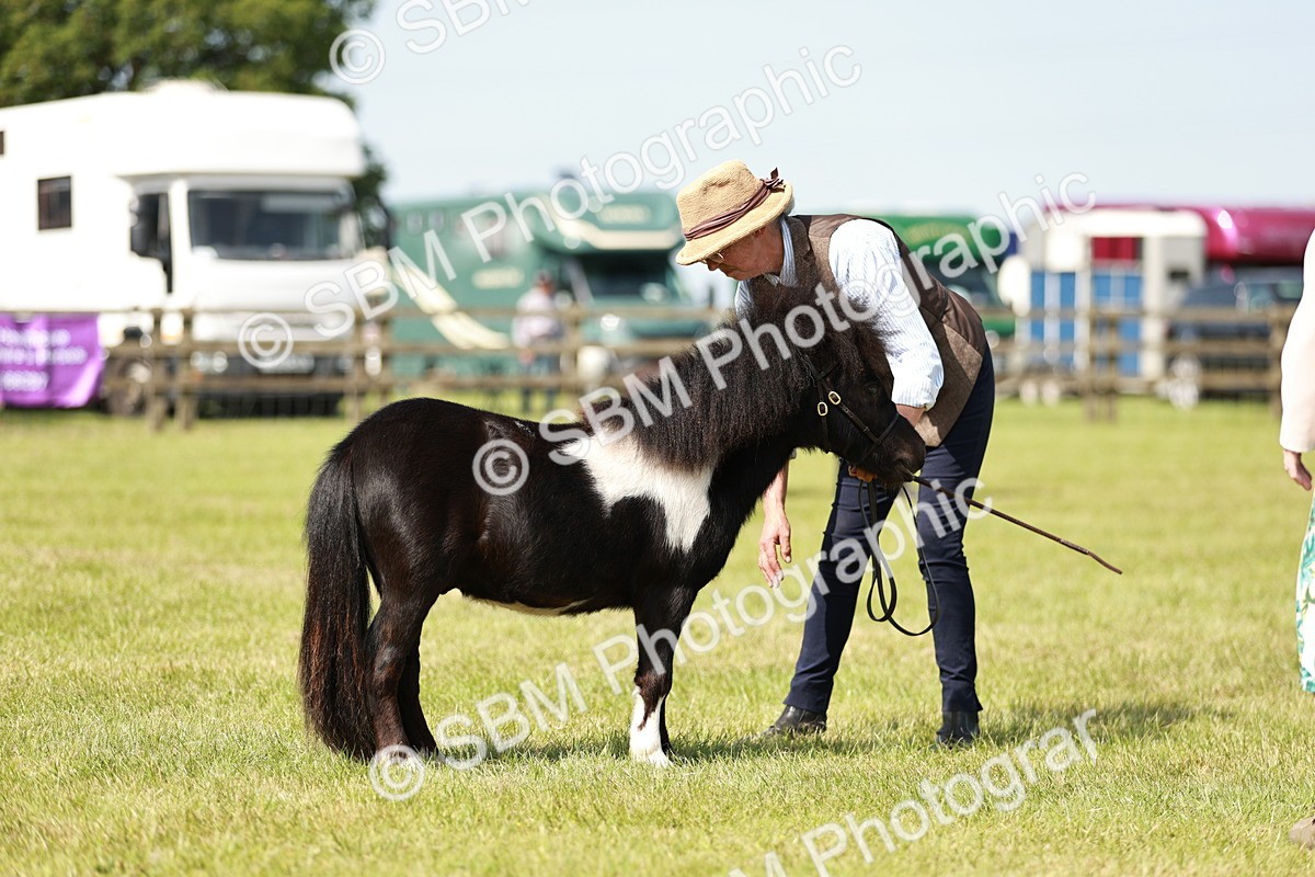 SBM_01914 - Class 14-23 - Mountain & Moorland In Hand Non Welsh