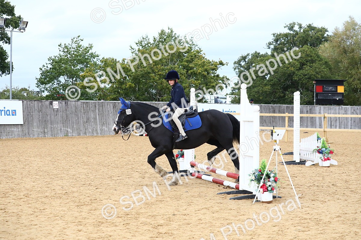 SBM_68192 - J3b - Mini Tour Junior Pony 40cm Championship