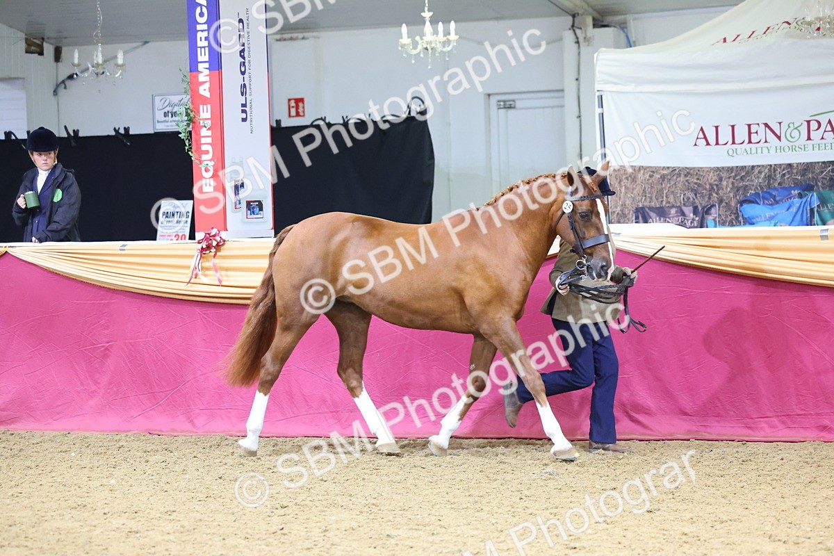 SBM_19366 - Class 901 - Supreme Final - IH Diamond