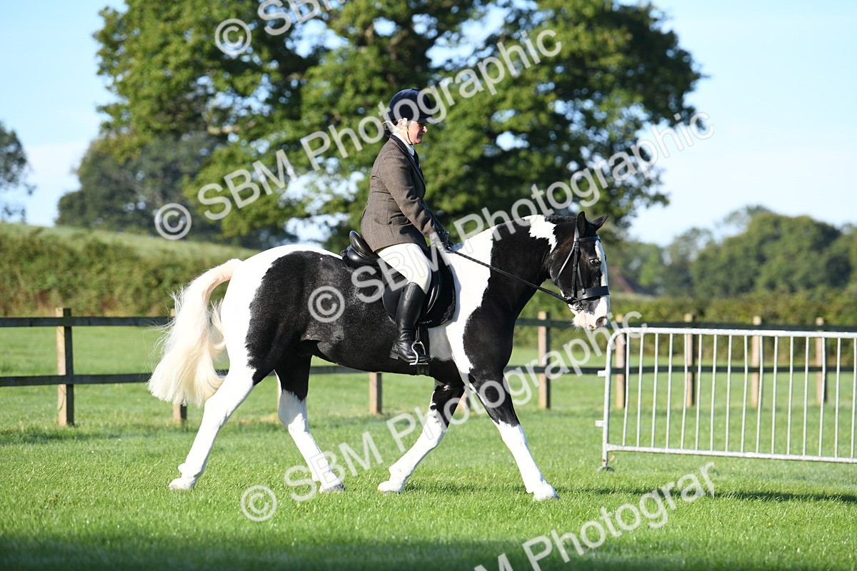 SBM_33971 - S16 - Condition & Turnout - Ridden