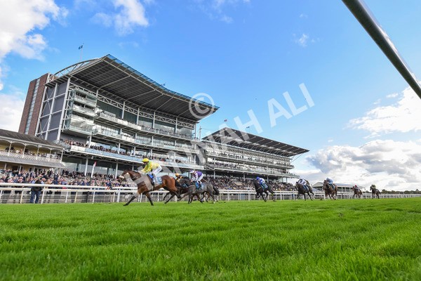 111024-Race 4-End Of Story-8030 - Race 4 3.10pm Parsonage Hotel And Cloisters Spa Nursery Handicap