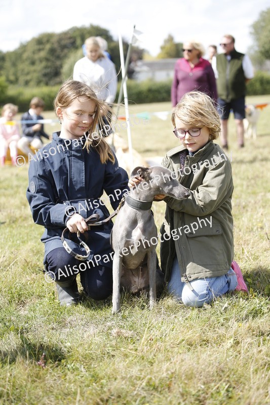 20250831-3678 - Dog Show