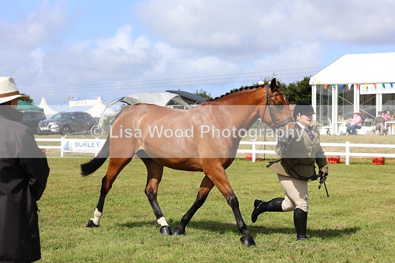 3E7A9523 - Class 4: Rising Star M/H Hunter