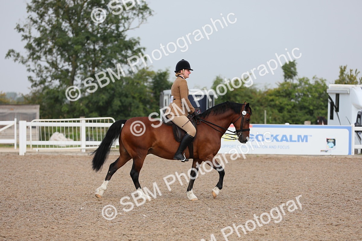 SBM_09959 - Class 302 Ridden M&M -Large Breeds