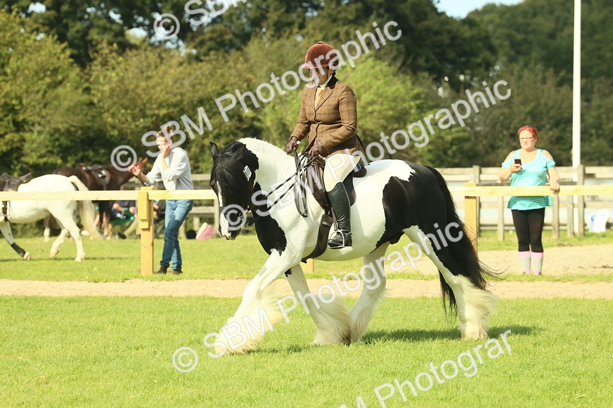 SBM_68804 - S58 - Mini Show Cob Ridden