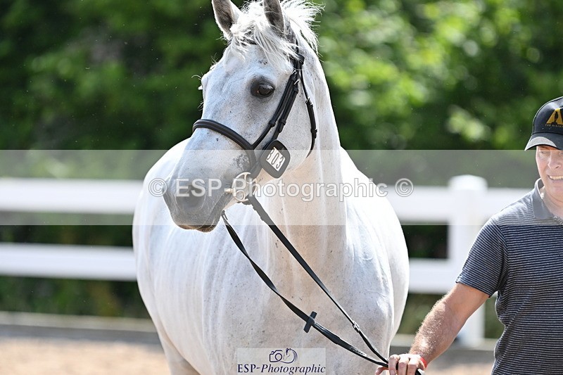 240717A-155043-03102 - Trot Up 3pm to 4pm