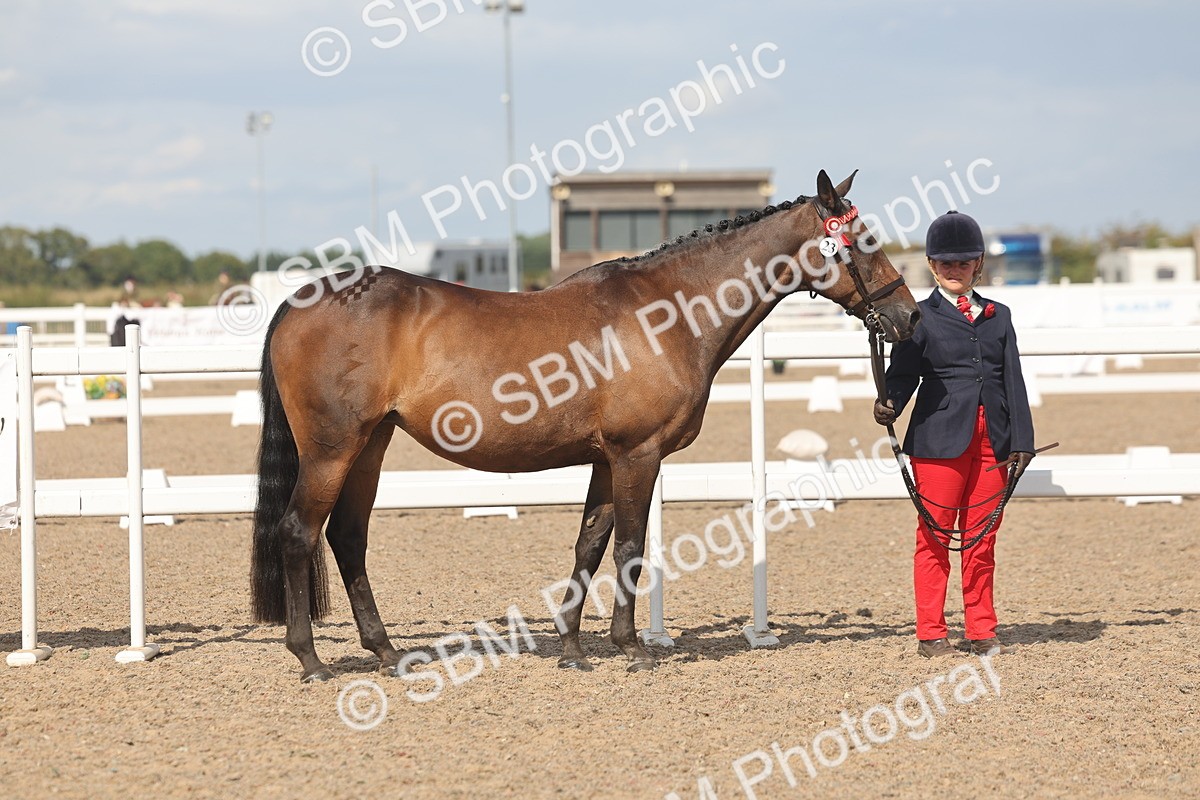 SBM_06830 - Class 25 - IH Foreign Breeds - Purebred