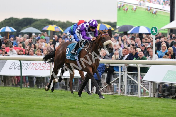 yr22072022r4-27 - Race 4 6.50pm The IRE Incentive It Pays To Buy Irish EBF Restricted Novice Stakes