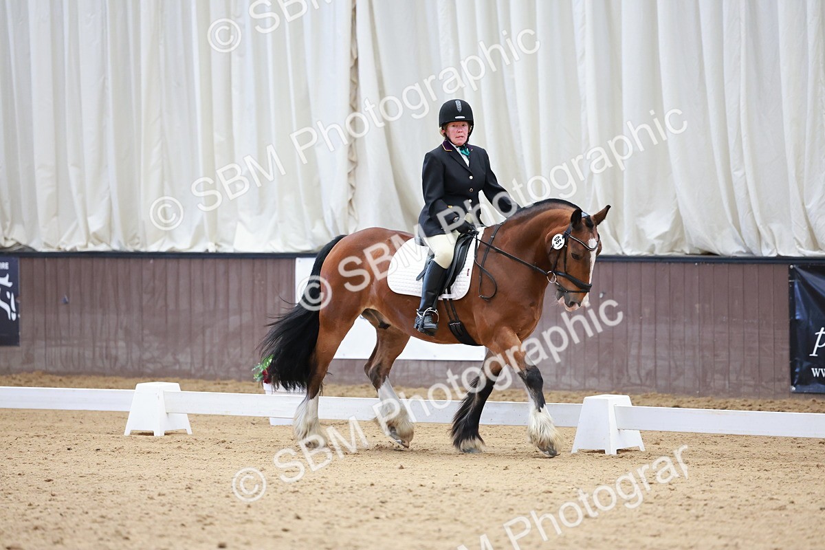 SBM_008085 - Class 6b - Novice 6 - 9.28-10.41