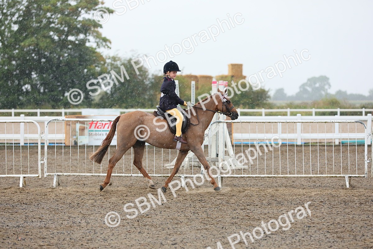 SBM_20545 - Class 804 - Ridden Veteran Pony
