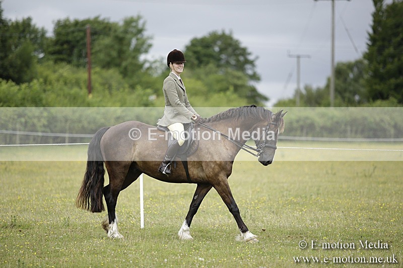 BVR160717-1281 - Ring 1 BVRC Show 16/07/17