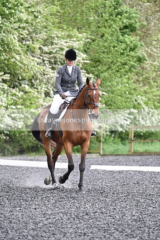 WJ7_1169 - Time 14:16 to 14:55