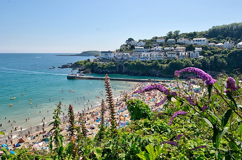 A busy summer day at Looe from the Coastpath - Looe