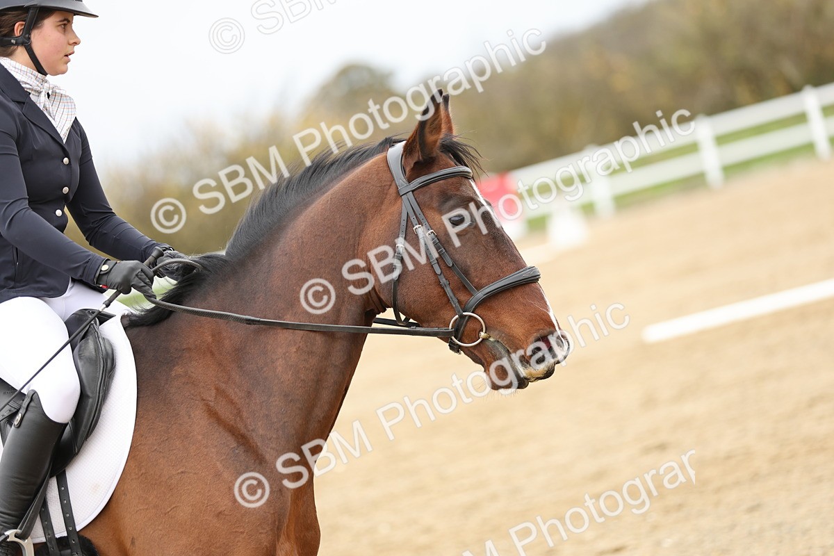 SBM_002946 - Class 8 - Novice 1