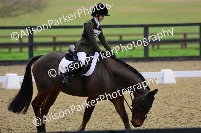 20260125-0629 - Class 9b - Walk Trot Unassisted