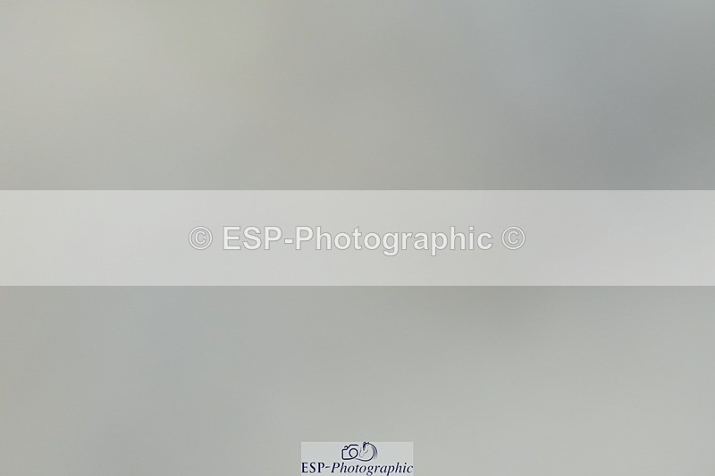 230623-171557-01490 - Cls 8 Medium 73Q