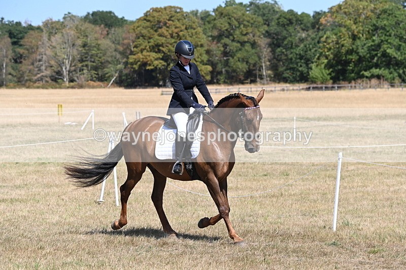 WJ6_9174 - Championship Classes 33-38