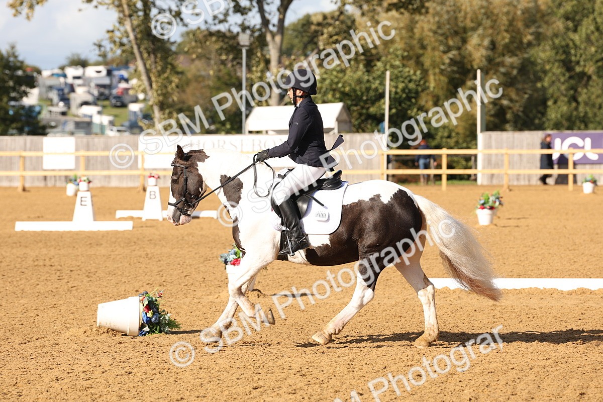 SBM_50435 - D12 - Small Tour Championship prelim 2