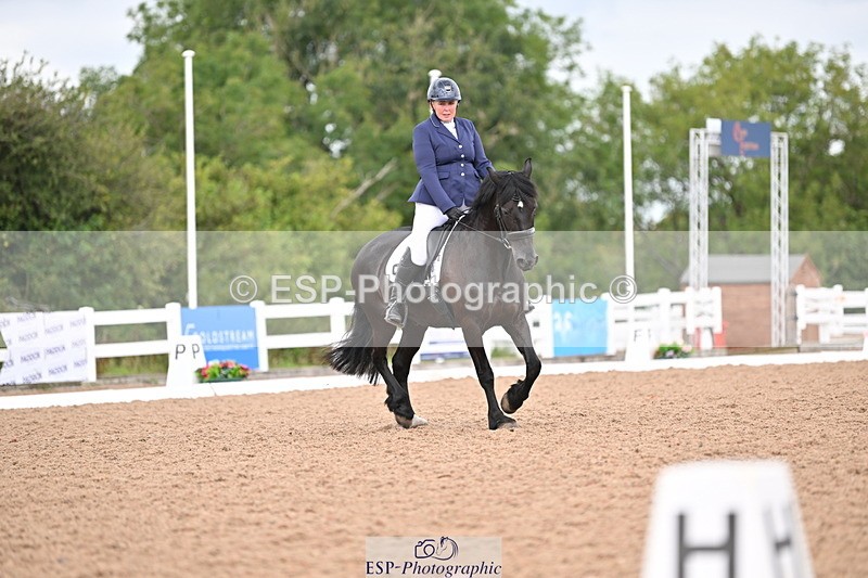 240817A-120218-08179 - 252-Alison.Andrews-Bercoed.Sambo