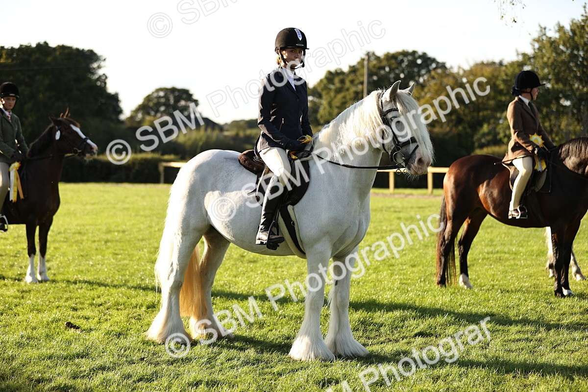 SBM_29648 - S7 - Novice & Newcomers Ridden Pony
