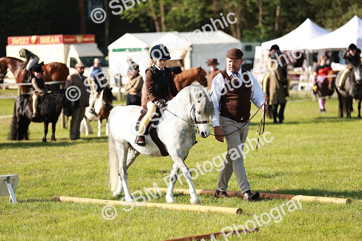 SBM_11128 - Class 106-107 - BSPS LIHS Working Sports Pony