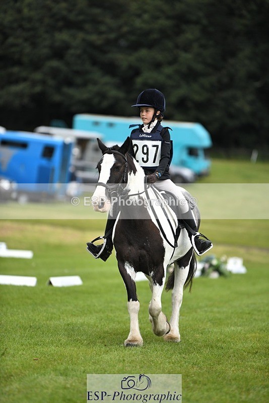 230826-112657-15859 - Sections C & D 10 to End