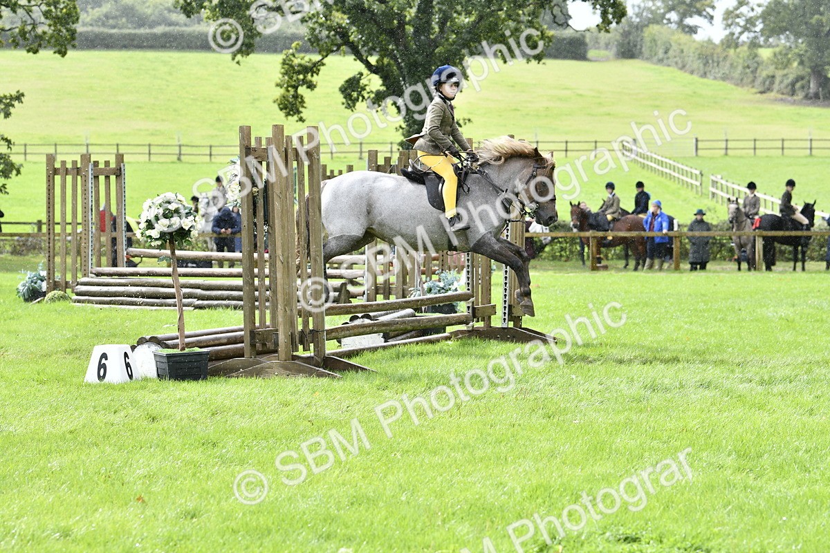 SBM_41408 - S32 - Mountain & Moorland Working Hunter Pony