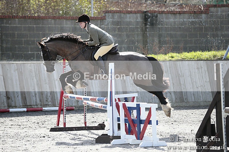 BVRC SJ 170319 581 - Bourne Valley Riding Club Showjumping 17/03/19