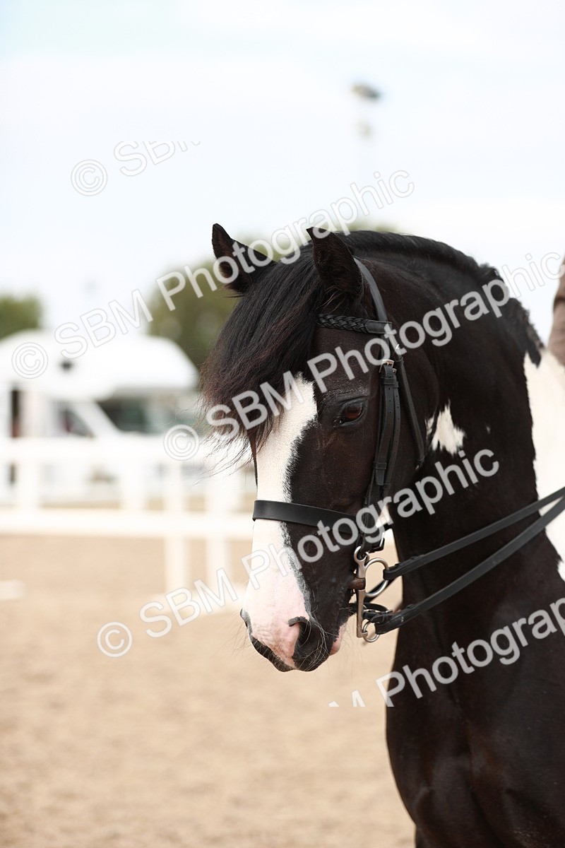 SBM_16734 - Class 214 Ridden Cob