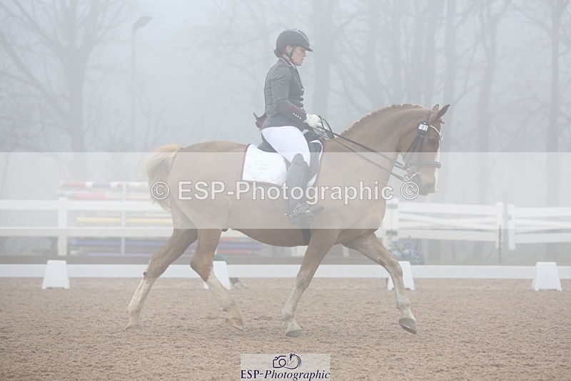 240217A-130057-03011 - 103-Ruth.Saunders-Dizzy.Rascal.VII