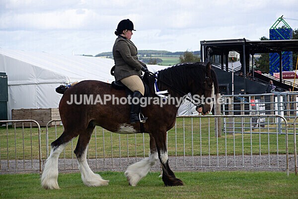 DSC_0216 - Ring 1