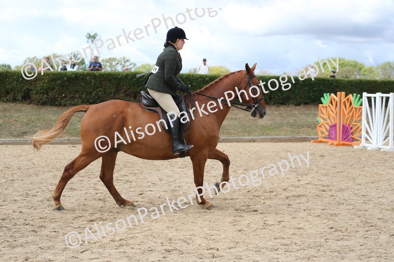 20260831-2718 - Class 16 and 17- Ridden Cob and Hunters