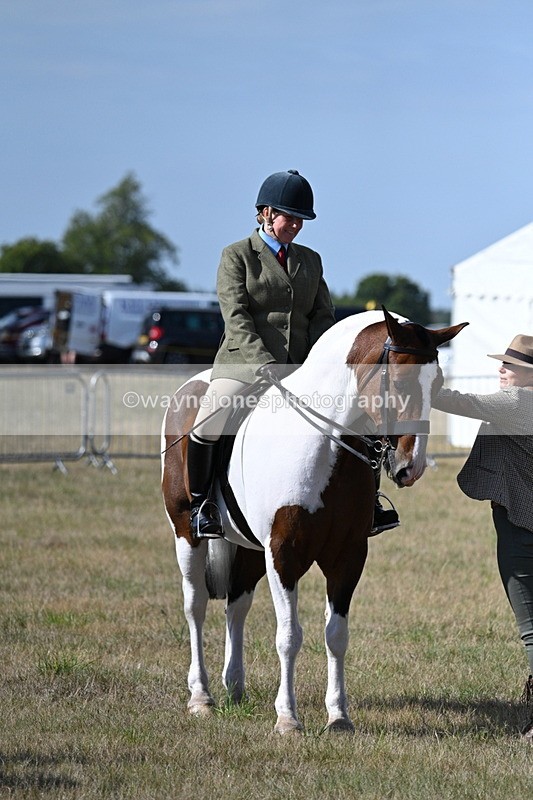 WJ7_2716 - Class 8 Ridden Tack & Turnout