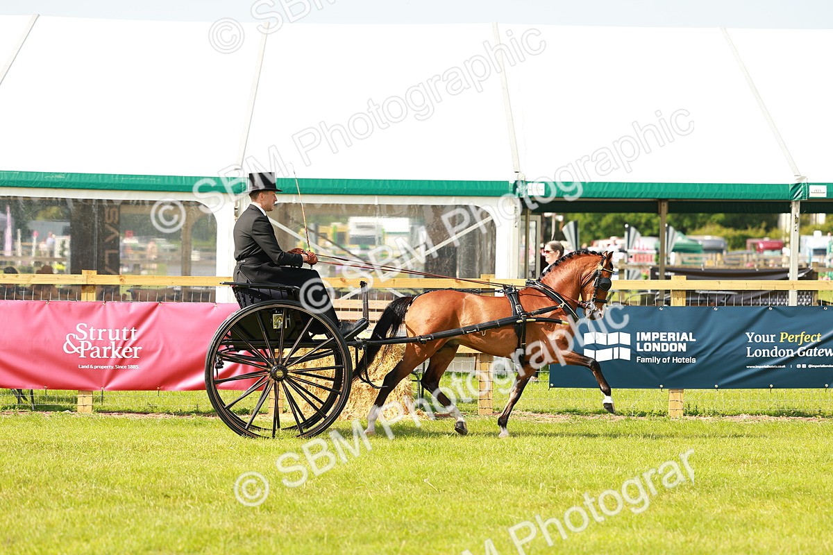 SBM_02556 - Class 2-4 - HOYS Private Driving