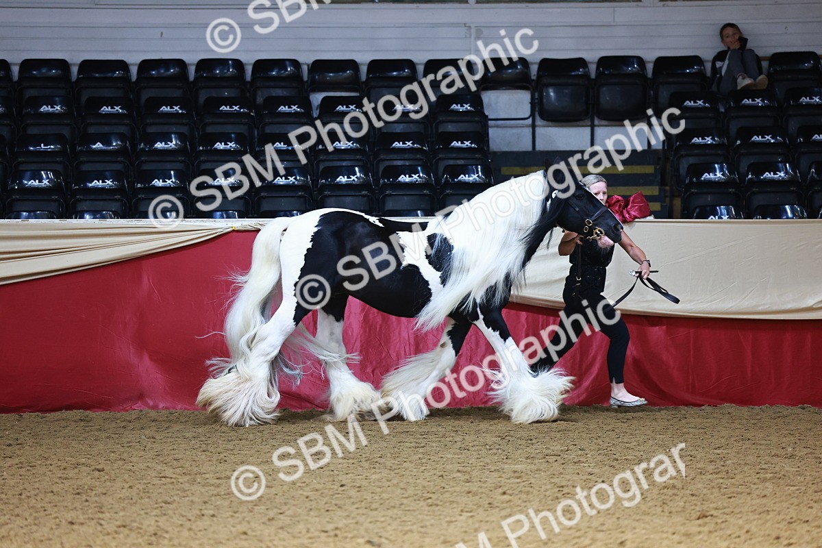 SBM_22349 - Class 902 - Supreme Final - IH Diamond