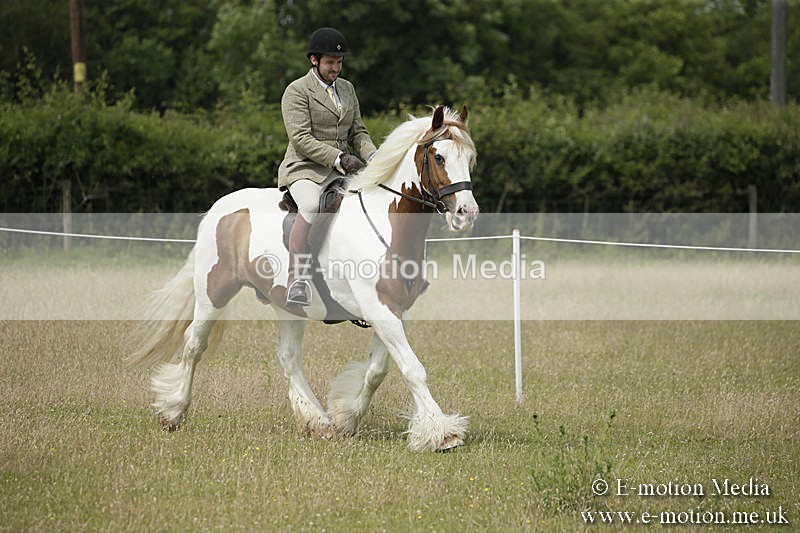 B230619-0426 - Bourne Valley Riding Club Summer Show 23/06/19