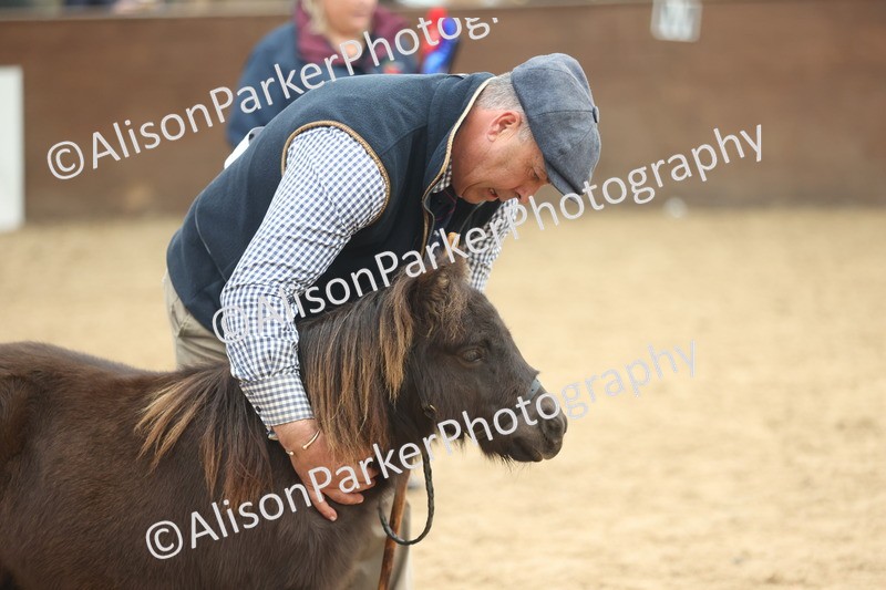 20251109-0195 - Class 10 - Yearling, Colt, Filly or Gelding