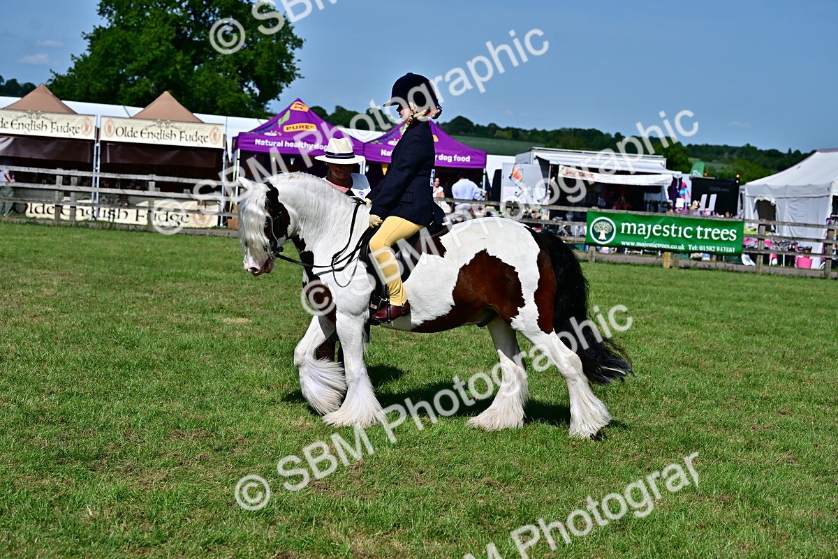 SBM_09397