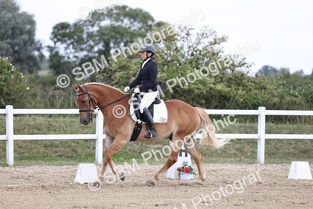 SBM_016765 - Class 14 Novice 23 - 11.53-12.56